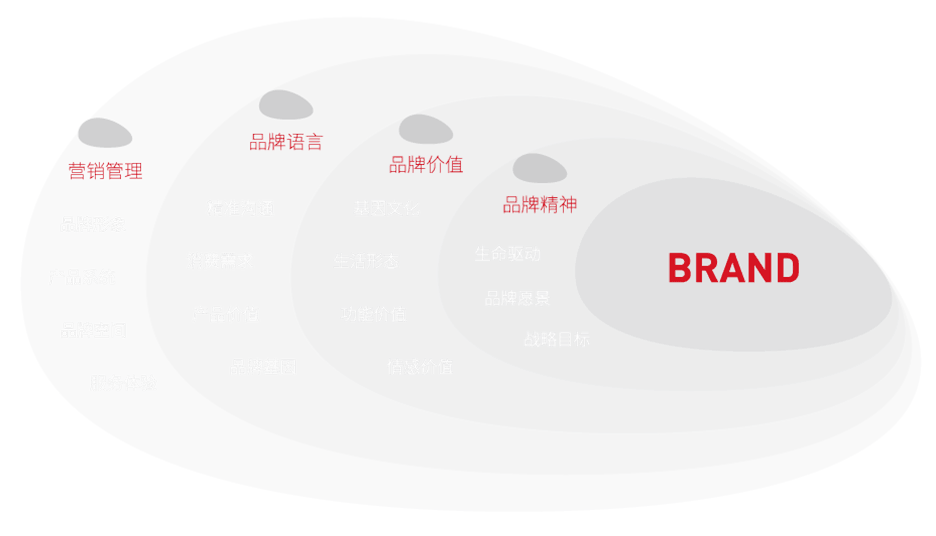 大诺介绍3